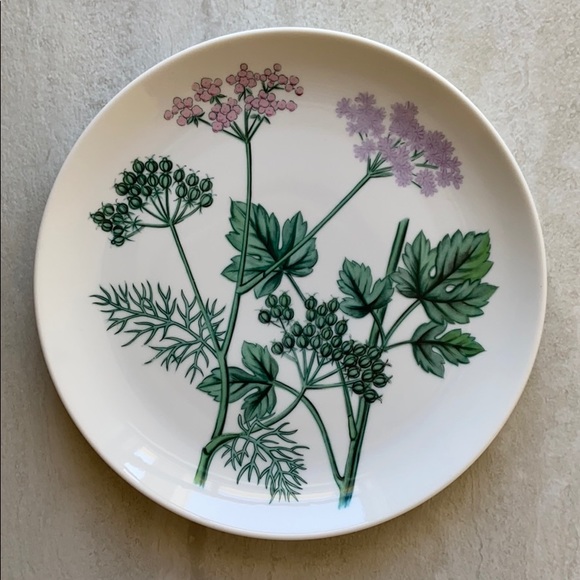 Vintage Horchow Botanical Herb and Seeds plates - Picture 6 of 8